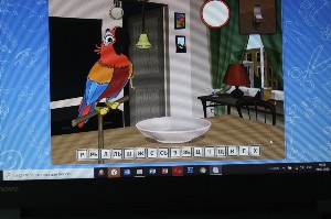 �����������